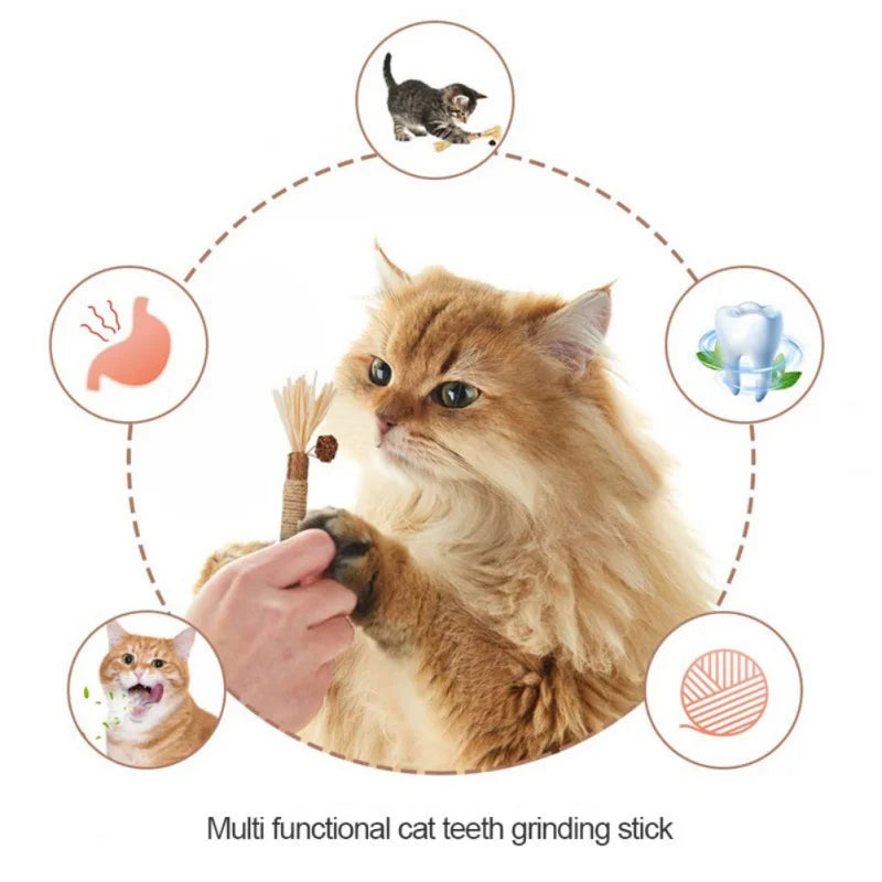 3Pcs Pet Cats Toy Cat Snacks Sticks Cleaning Tooth Catnip Cat Toys Actinidia Silvervine Pet Toy for Cats Accessories