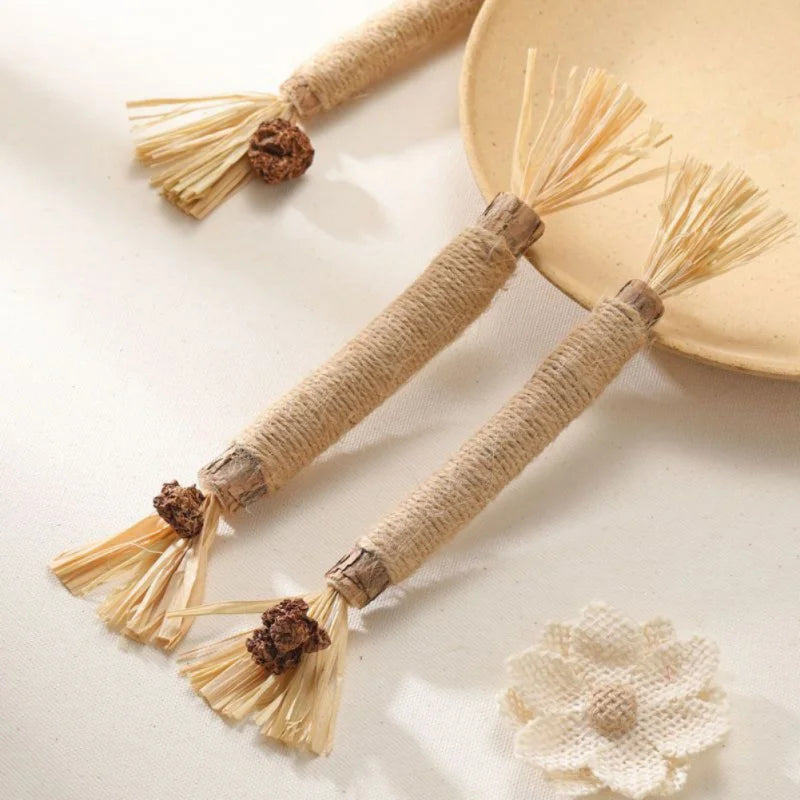 3Pcs Pet Cats Toy Cat Snacks Sticks Cleaning Tooth Catnip Cat Toys Actinidia Silvervine Pet Toy for Cats Accessories