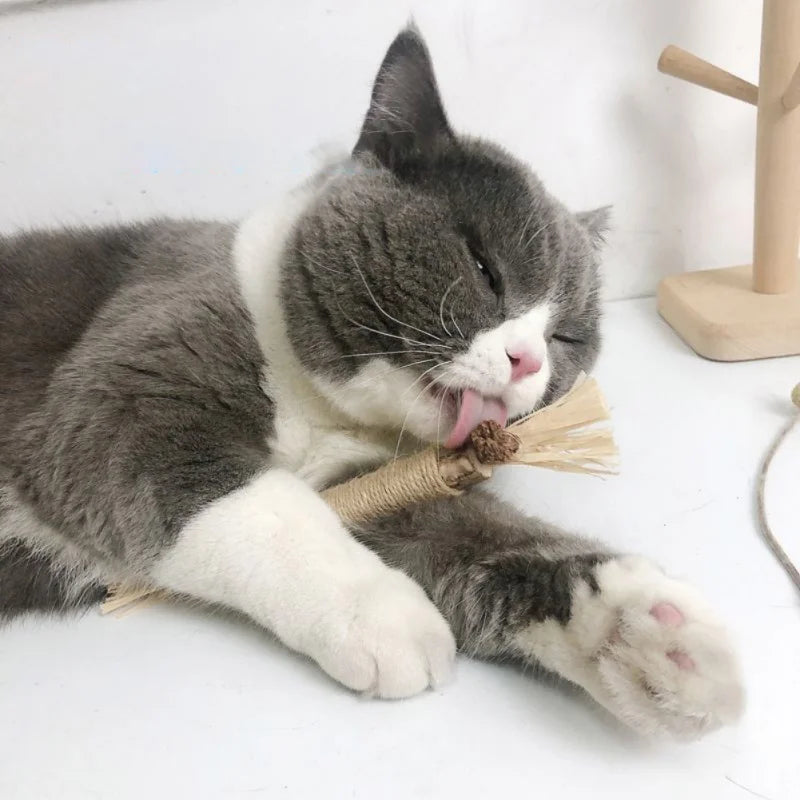 3Pcs Pet Cats Toy Cat Snacks Sticks Cleaning Tooth Catnip Cat Toys Actinidia Silvervine Pet Toy for Cats Accessories