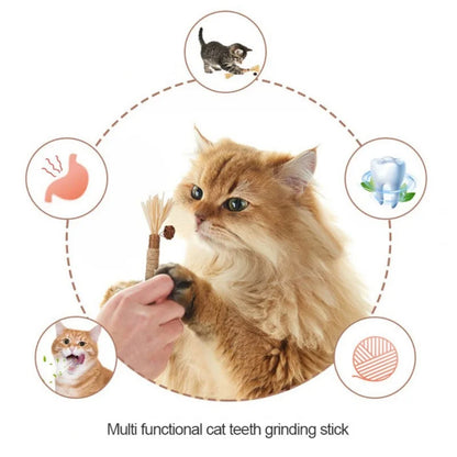 3Pcs Pet Cats Toy Cat Snacks Sticks Cleaning Tooth Catnip Cat Toys Actinidia Silvervine Pet Toy for Cats Accessories