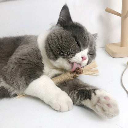 3Pcs Pet Cats Toy Cat Snacks Sticks Cleaning Tooth Catnip Cat Toys Actinidia Silvervine Pet Toy for Cats Accessories